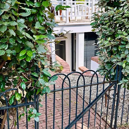 Wonderful With Beautiful Garden And Kitchen * デン・ハーグ